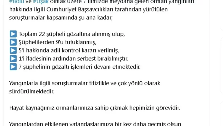 Orman Yangınlarıyla İlgili 22 Şüpheli Gözaltına Alındı